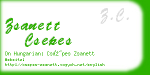 zsanett csepes business card